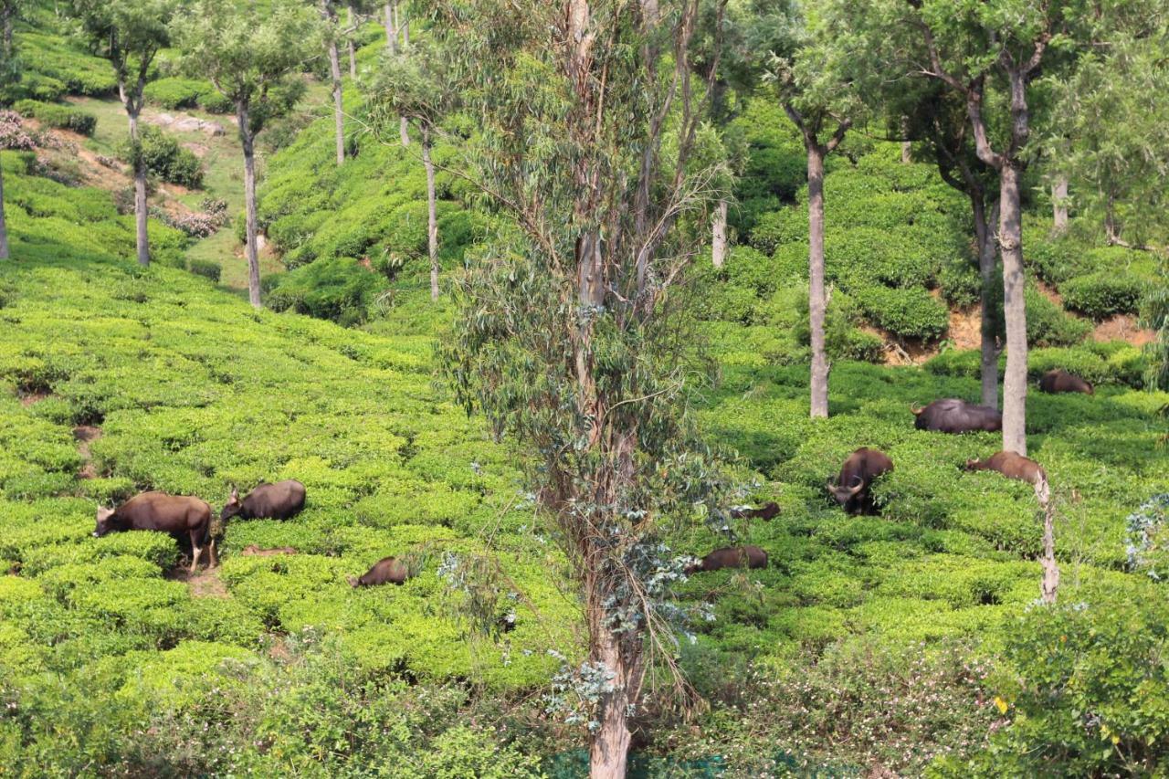 Rustling River Resort Ooty Exterior foto